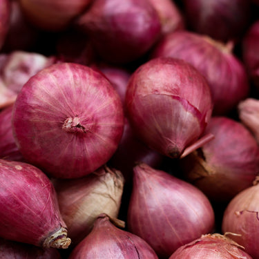 Oddly Onion